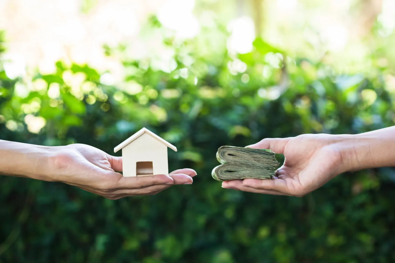 Cash Offer Image